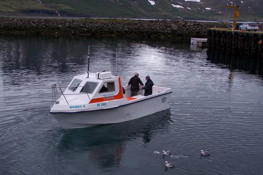 Zeevissen Flateyri Westfjords