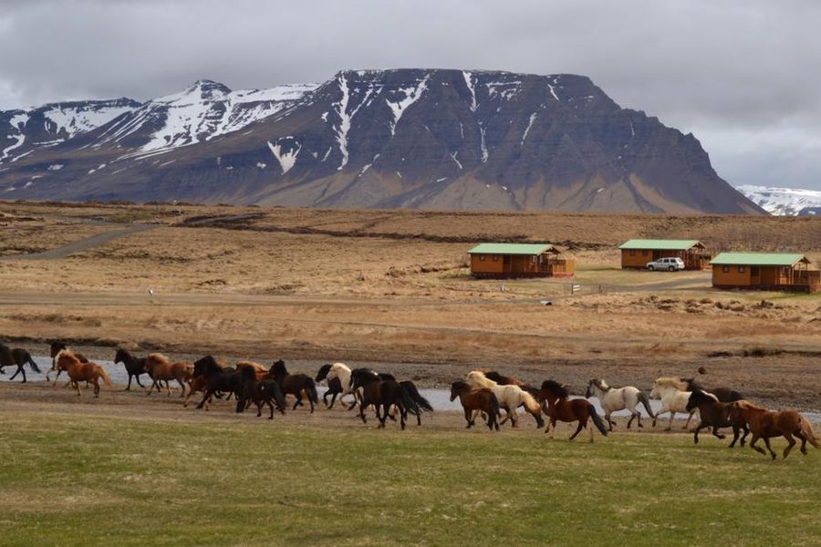 Snorrastaðir Cottages, Borgarbyggd