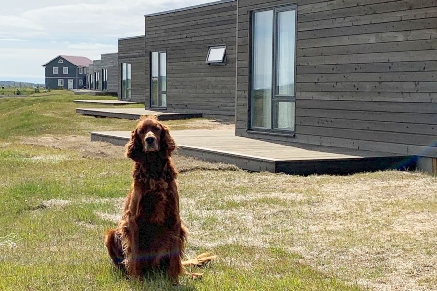 Heima Holiday Homes - Hraunvellir
