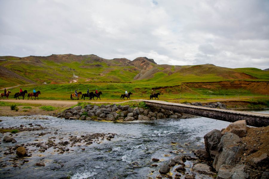 Paardrijden Autorondreis IJsland