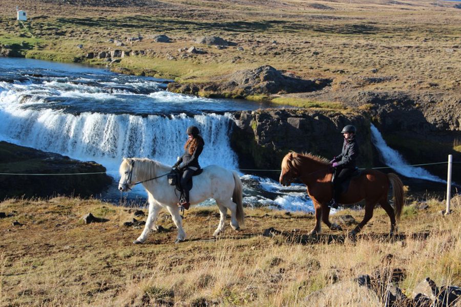 Noord IJsland Off The Beaten Track in cottages