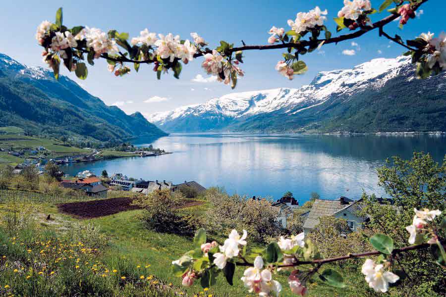 De Hardangerfjord Noorwegen