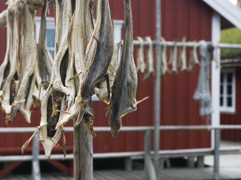 luxe comforthutten tour Lofoten