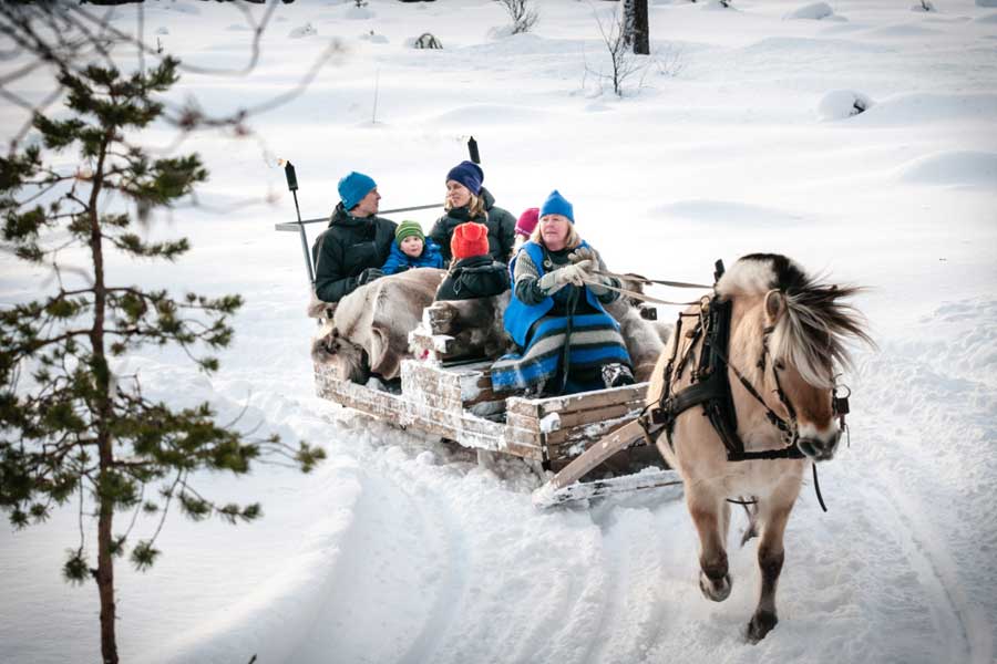Winterse arrensleetocht 2,5 uur, Trysil