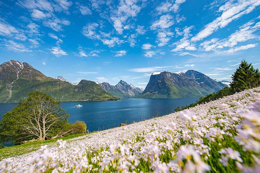 8-Daagse fly & drive hotelrondreis Noorse fjorden 2023