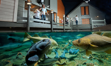 Hurtigruten excursie 2D - BBI Travel