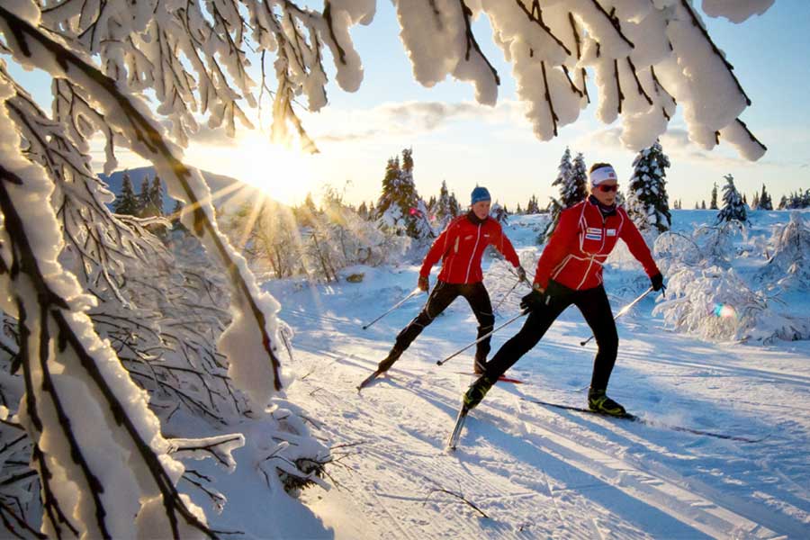 Trysil privé chalets (alle), Trysil Noorwegen wintersport inclusief Kiel - Oslo