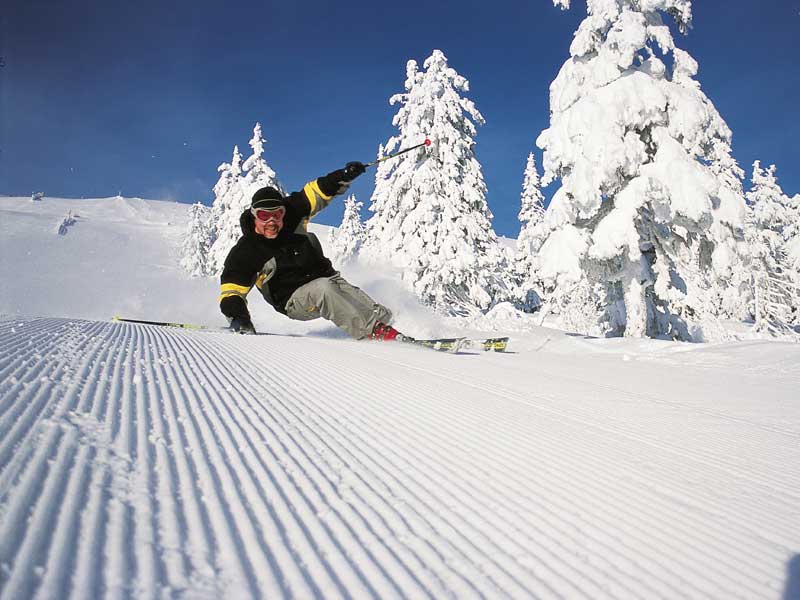 Skiër op de piste