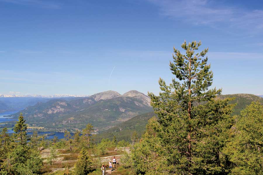 8-daags Magisch herfstarrangement Telemark - Vradal Hyttegrend 2023