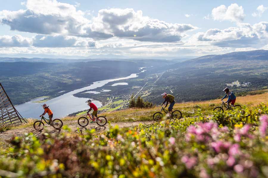 Fietsers in Are