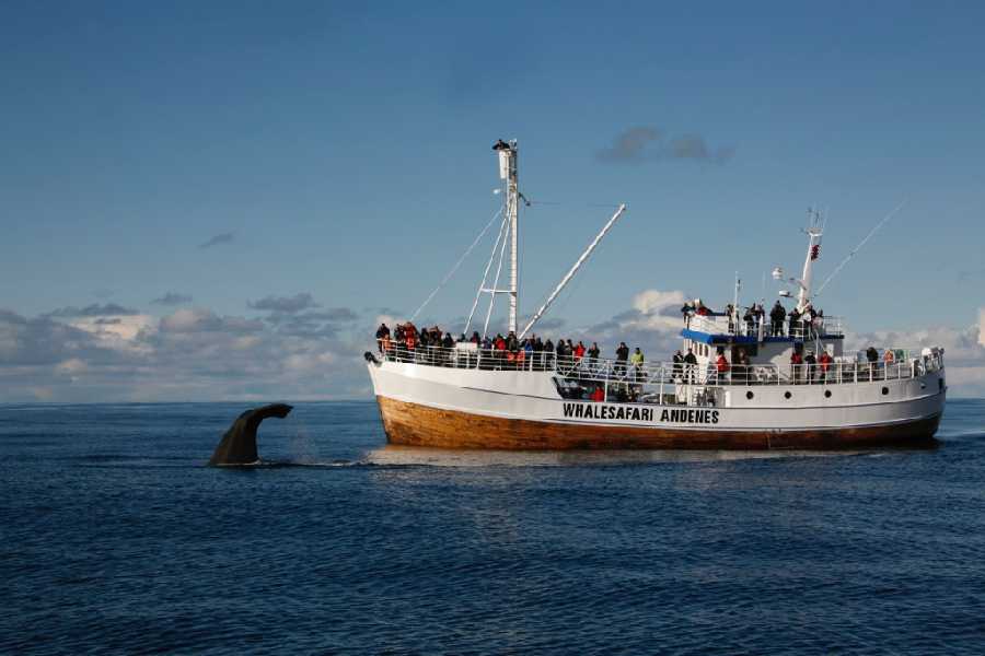 Andenes