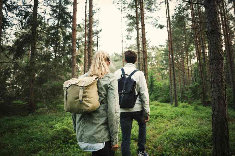 Wandelen in Zweden, autorondreis beleef het echte Zweden