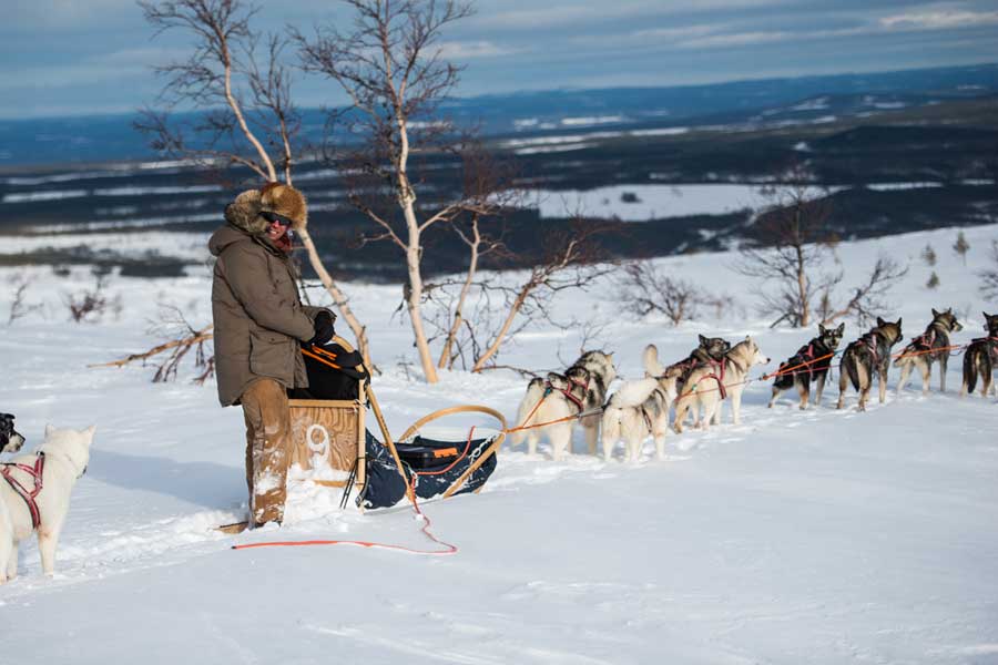 Huskysafari mountaintour incl fika - 1,5 - 2 uur