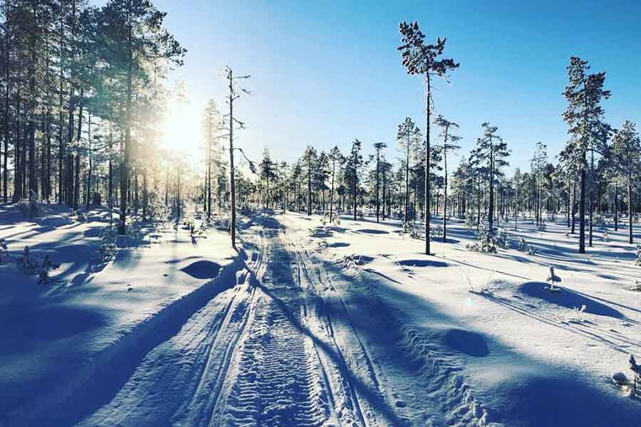 Sneeuwscootersafari Familietocht - 2,5 uur Stöten, Zweden