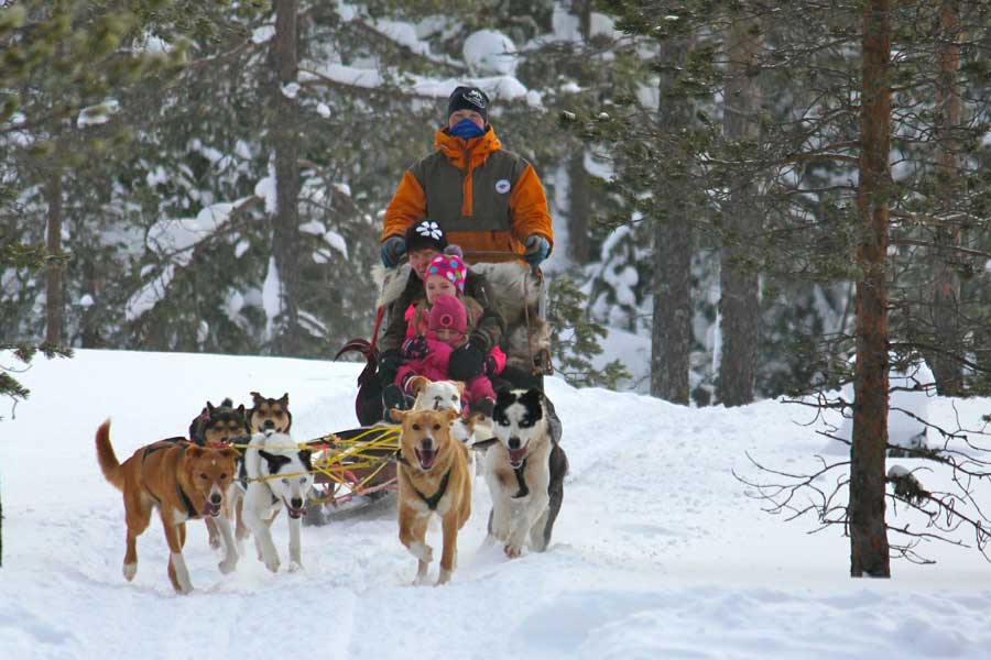 Huskysafari familie wildernistour in Tandadalen Zweden