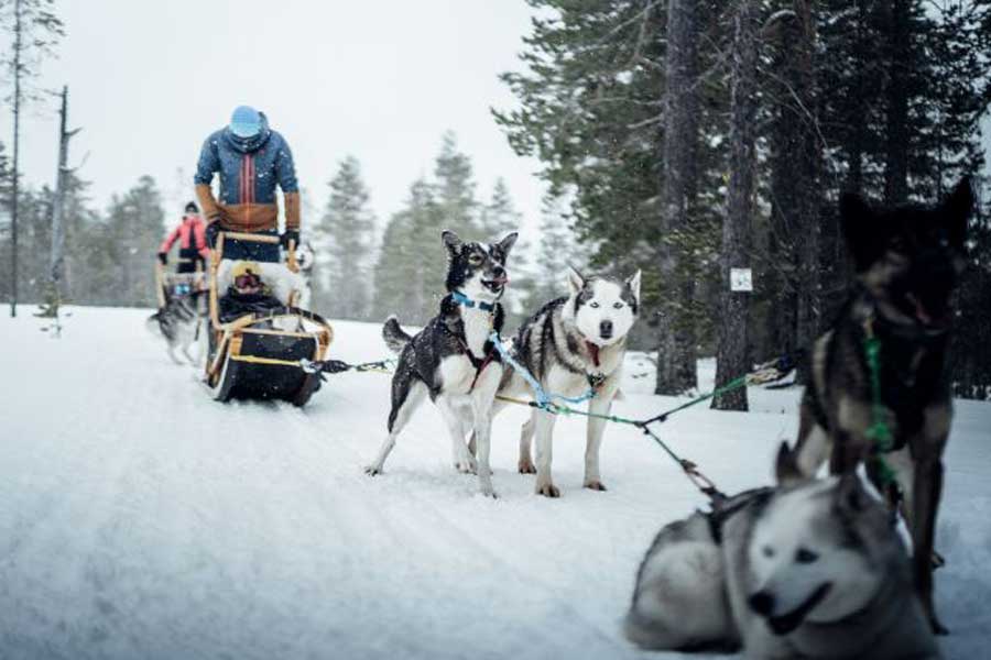 Gammelbyn chalets, Idre Fjäll
