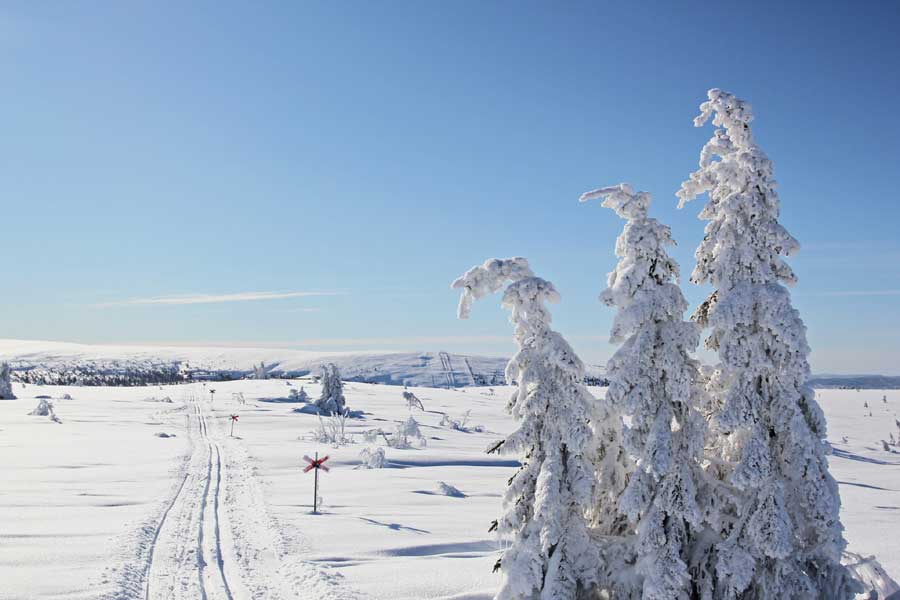 Sälens Högfjällshotel, Sälen