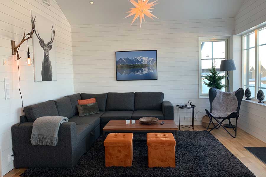 Woonkamer in een Mountain Village appartement